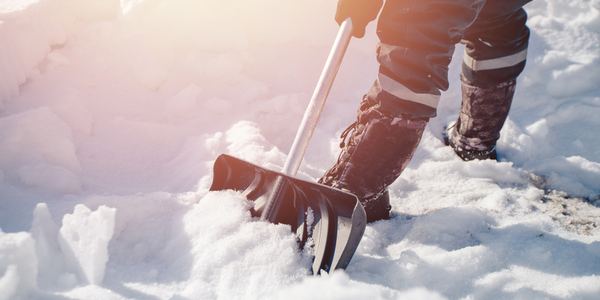 Usluge zimske službe