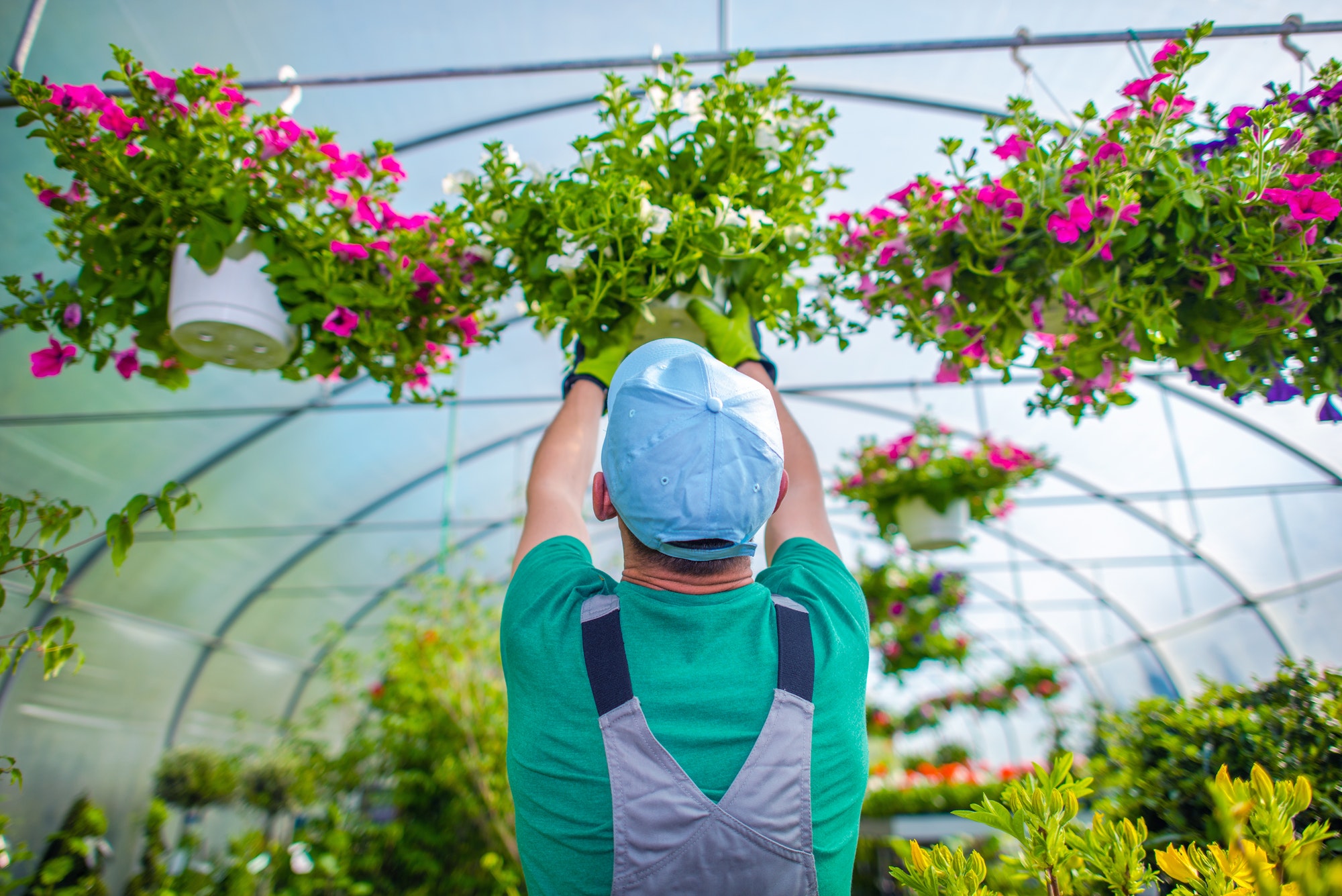 gardener-and-his-flowers.jpg