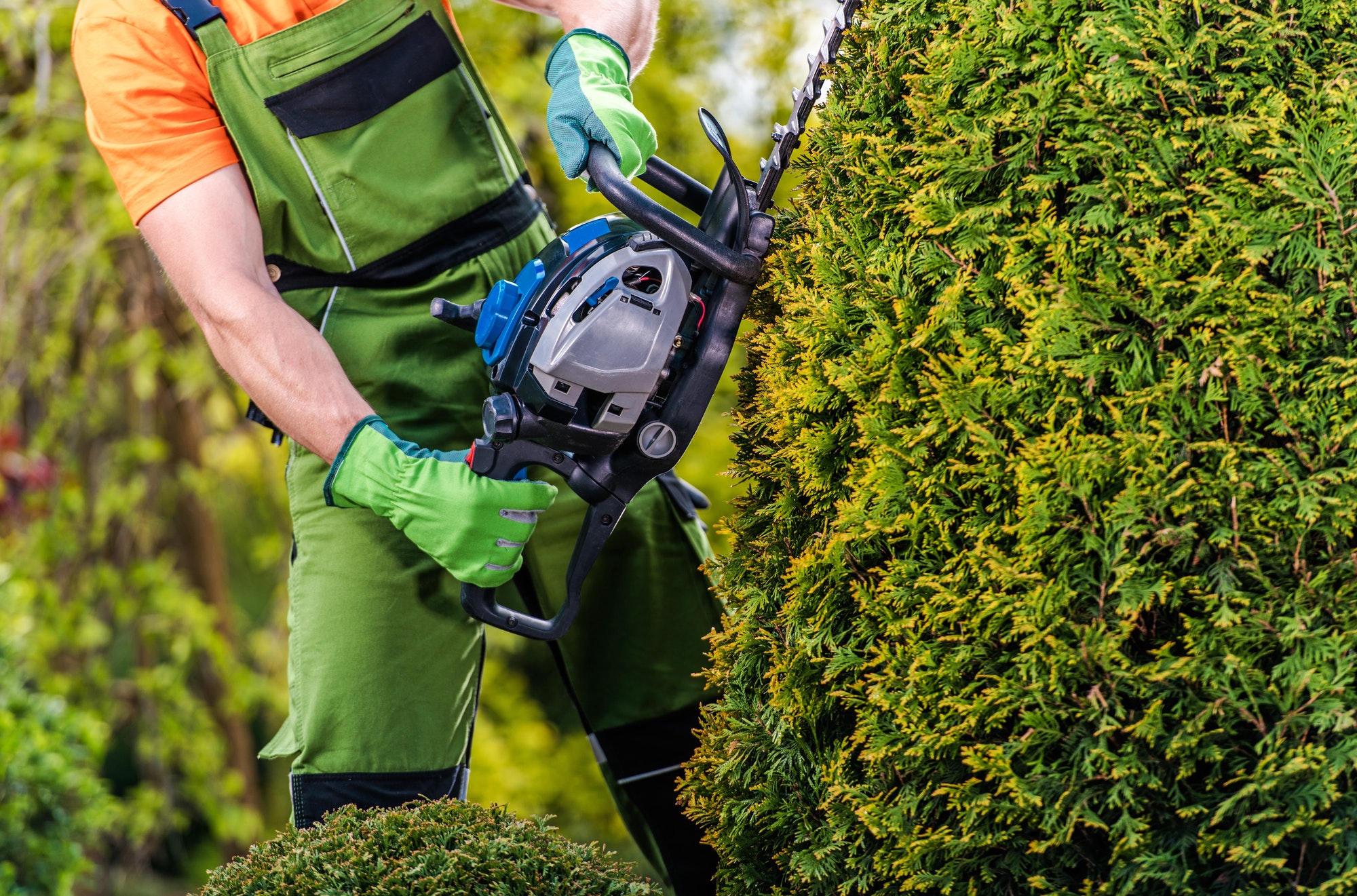 gardener-topiary-job.jpg